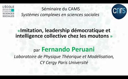 Fernando Peruani - Séminaire Systèmes Complexes en Sciences Sociales - 7 janvier 2022