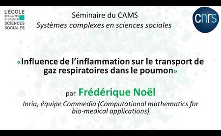 Frédérique Noël - Séminaire Systèmes Complexes en Sciences Sociales - 18 février 2022