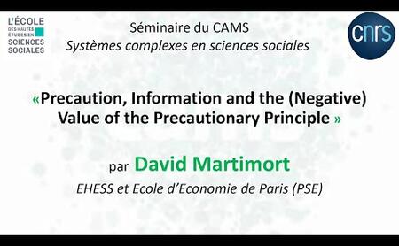 David Martimort - Séminaire Systèmes Complexes en Sciences Sociales - mai 2021